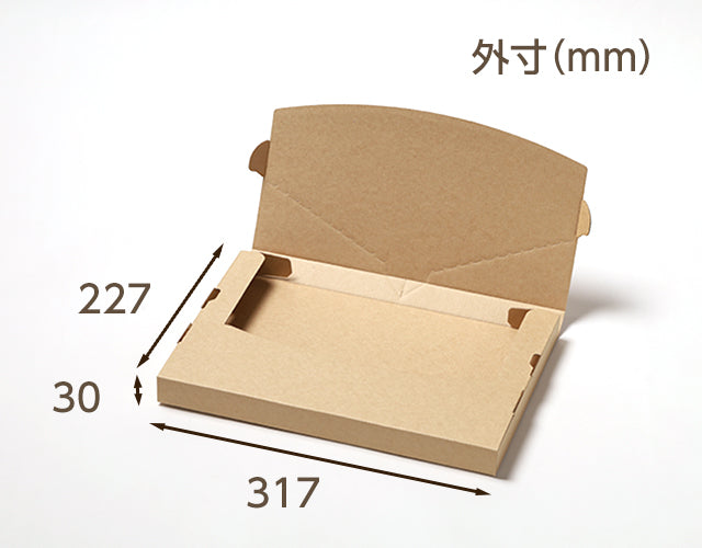 メール便ケース ジッパー付 (A4 3cm対応)