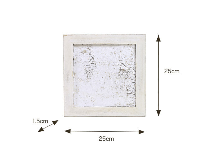 ホワイトバーチ&フレーム_739-031