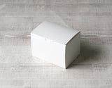 nwカットケーキ箱1号SS(保冷剤スペース付)